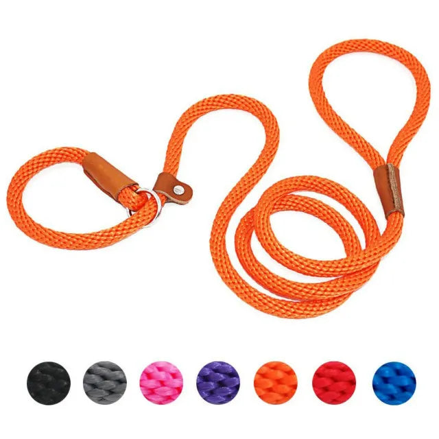 Dog Collar Dog Leash Slip Rope Lead Leash Heavy Duty Braided Rope Adjustable Loop Collar Training Leashes for Medium Large Dogs