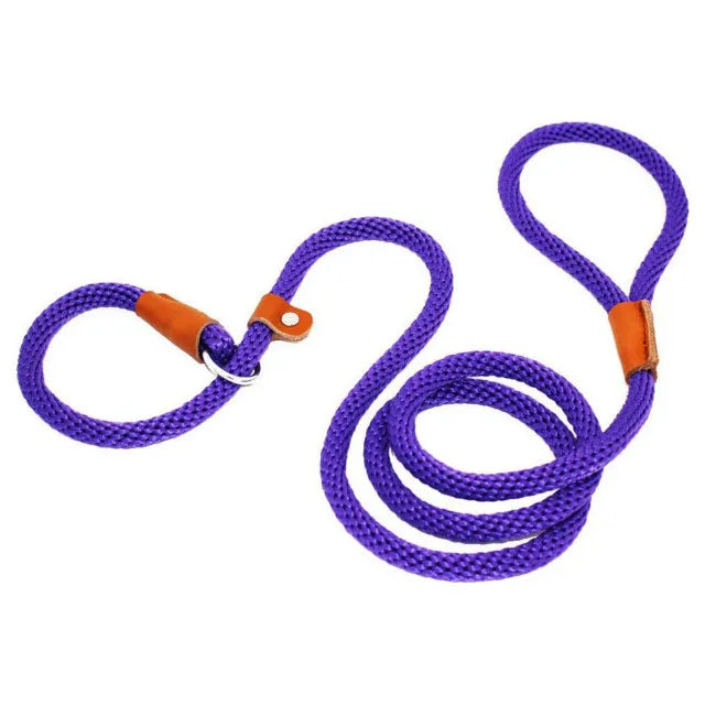 Dog Collar Dog Leash Slip Rope Lead Leash Heavy Duty Braided Rope Adjustable Loop Collar Training Leashes for Medium Large Dogs